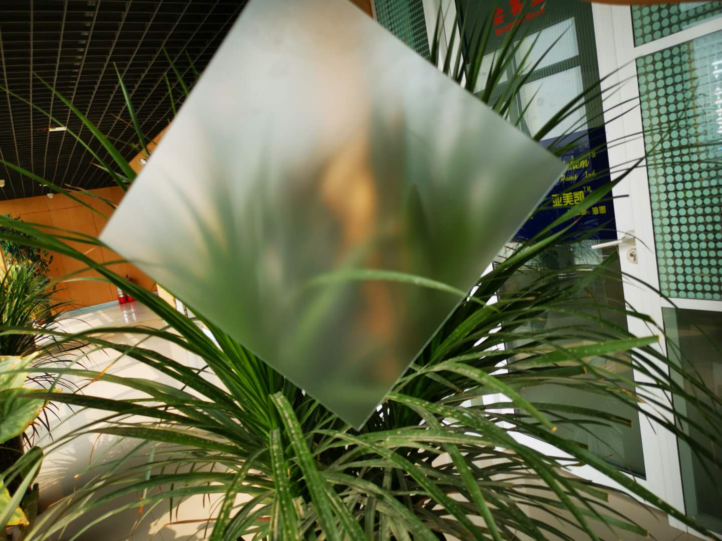 肌肤砂万搏·（中国区）体育官方网站蒙砂粉